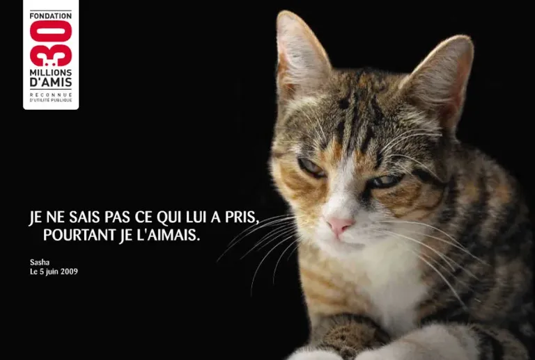 Campagne 2009