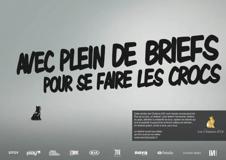 3.4 Les Chatons d'Or 2014 - Pleins de briefs