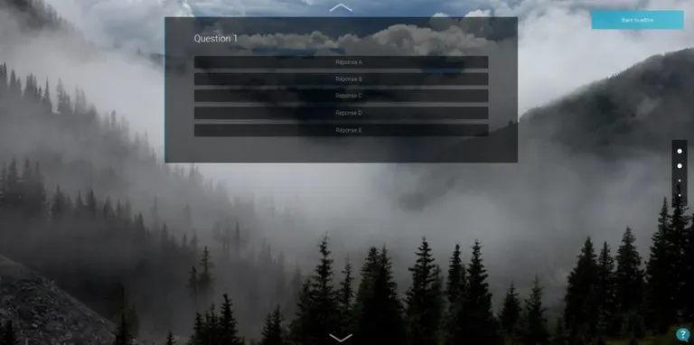 Vizir1