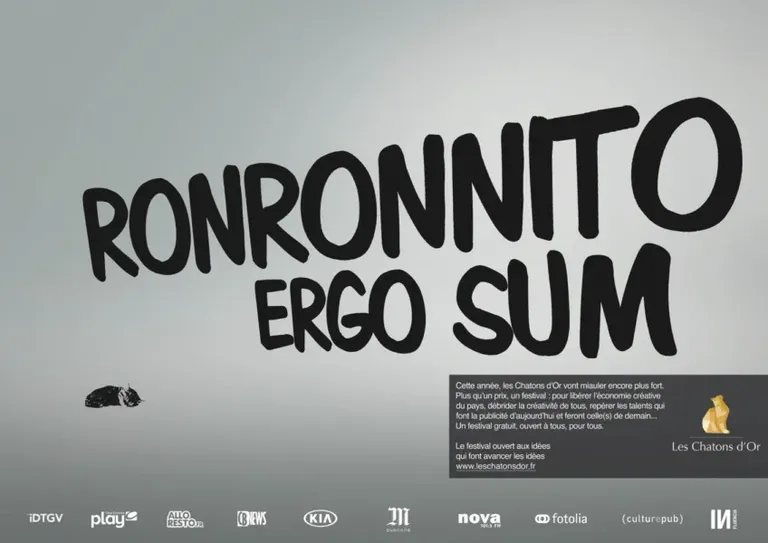 3.2 Les Chatons d'Or 2014 - Ronronnito