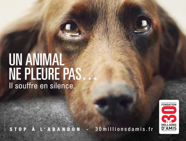 Campagne 30 Millions d'Amis 2012
