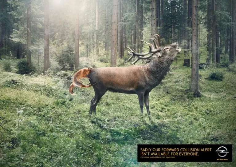Opel - Cerf