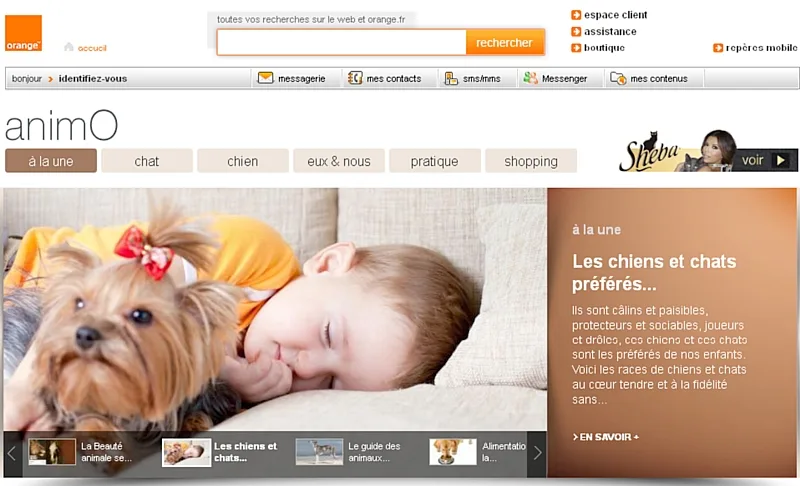 Une chaîne TV pour les animaux !
