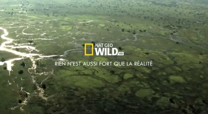 Nat Geo Wild : La contemplation