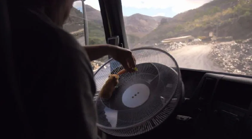 Les hamsters peuvent conduire des camions Volvo