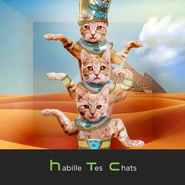 La nouvelle campagne humoristique de HTC
