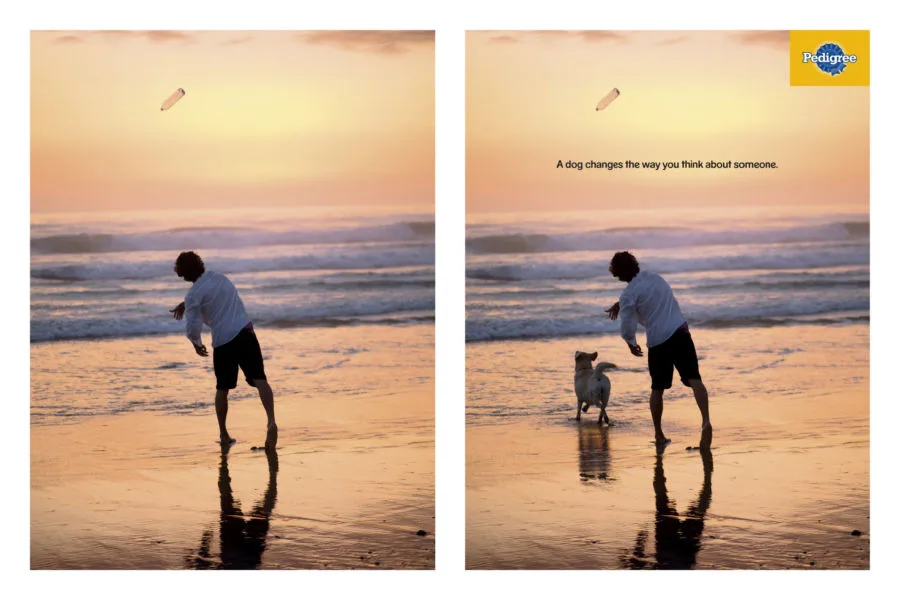 Pedigree : un chien change la donne