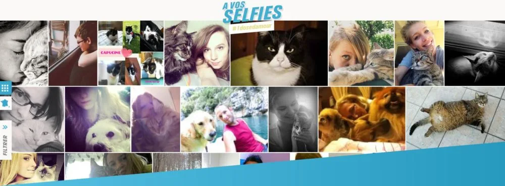 Un selfie chat pour un don anti-puces