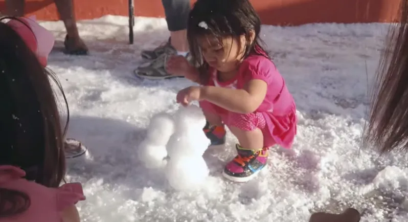 UPS livre de la neige au Texas !