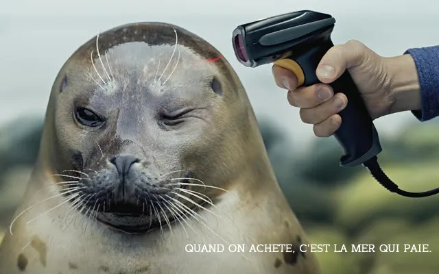 QUAND-ON-ACHETE-C’EST-LA-MER-QUI-PAIE.
