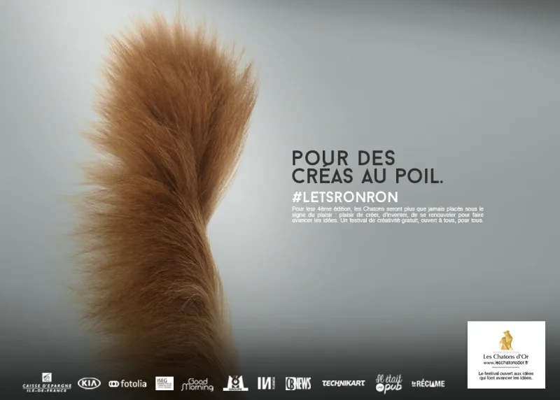 Festival des chatons d'or 2015