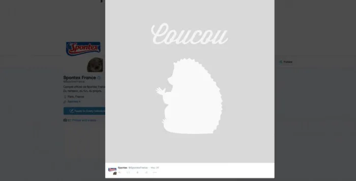 Spontex fait le ménage sur son nouveau compte Twitter !