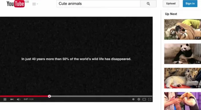 La WWF bloque des vidéos d'animaux sur Youtube