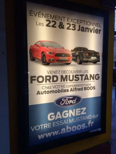 mustang limoges 2