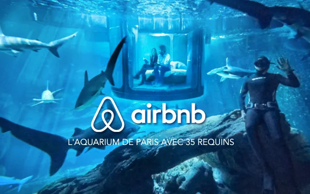 Airbnb propose une nuit insolite au milieu des requins à Paris