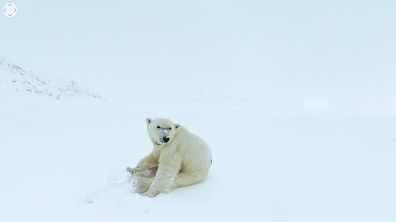 Greenpeace vous transporte en Arctique grâce à la réalité virtuelle