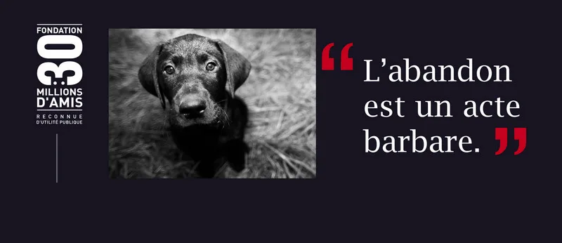 30 Millions d'Amis, plus de 20 ans d'action et de sensibilisation