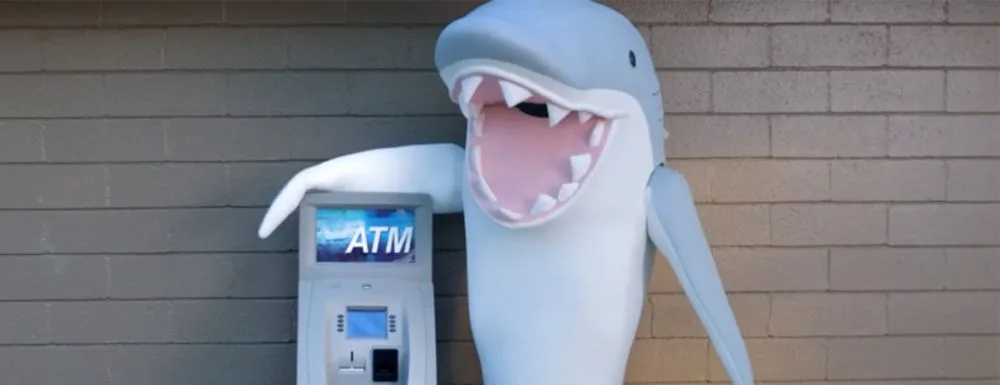 Un requin qui se nourrit exclusivement de cash