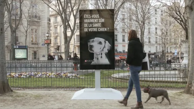 Purina ProPlan Street-Vet