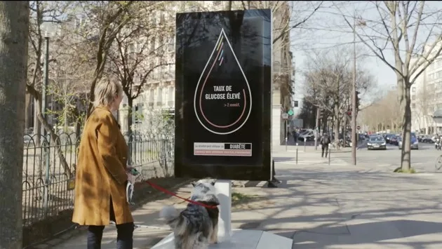 Purina ProPlan Street-Vet