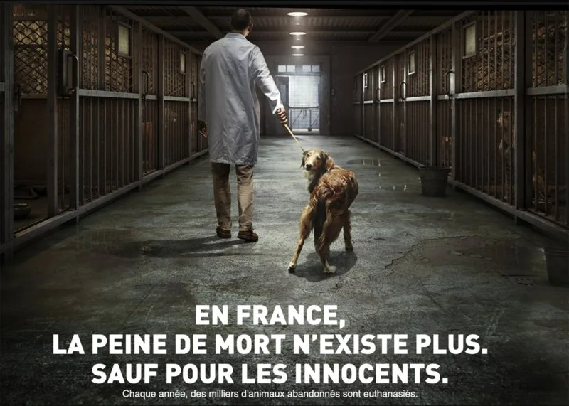 J’accuse ! Accusé, levez la patte !