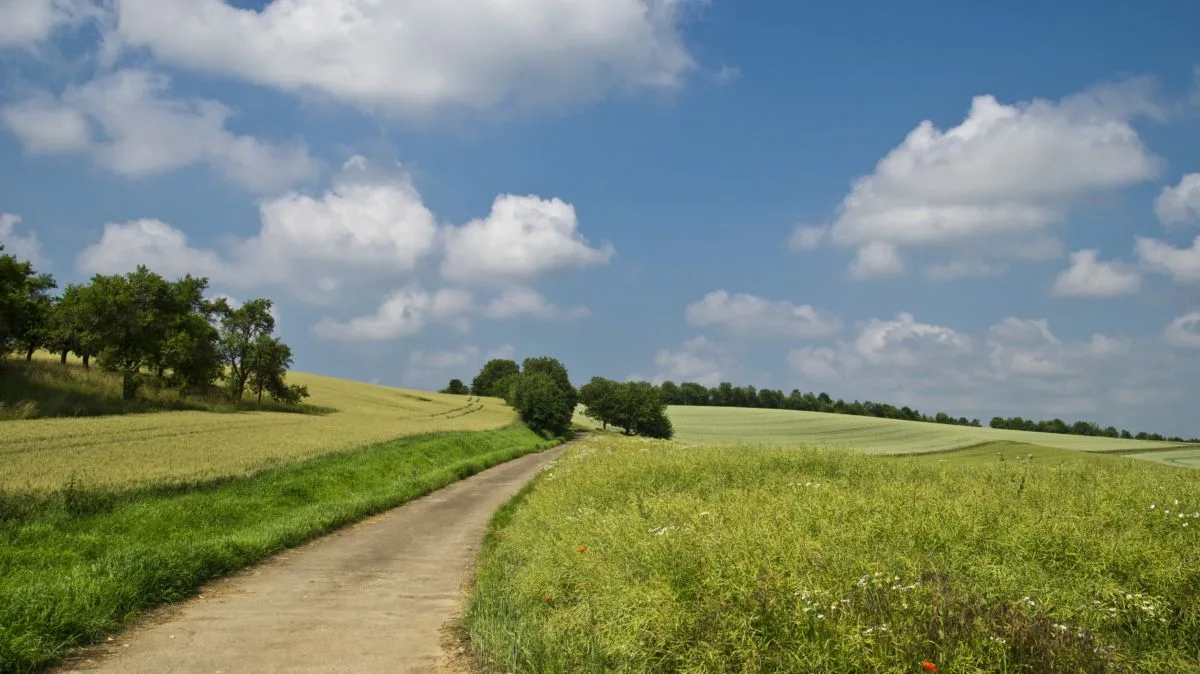 La nouvelle destination tendance pour cet été : La Nouvelle-Aquitaine.
