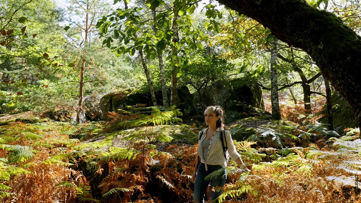 Tourisme : Le Pays de Fontainebleau prend soin de ses visiteurs