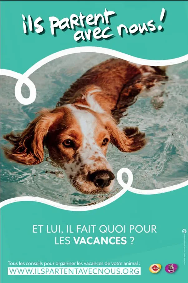 Mars Petcare, une lutte contre l’abandon animal !
